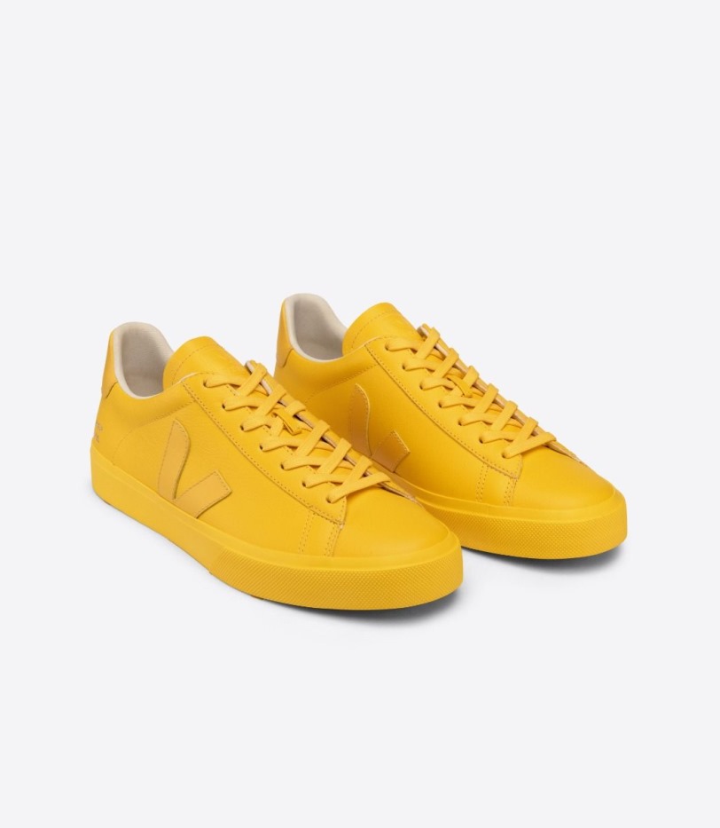 Veja X Mansur Gavriel Sunshine Special