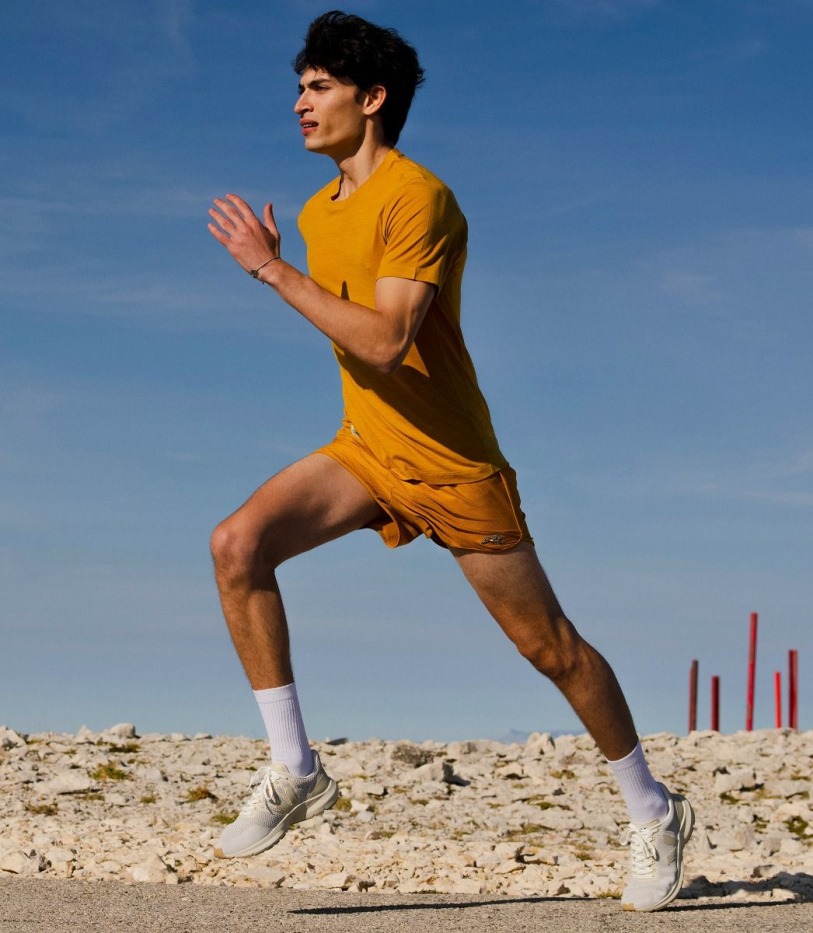 Veja Perfect V-Knit Chalk Pierre Natural