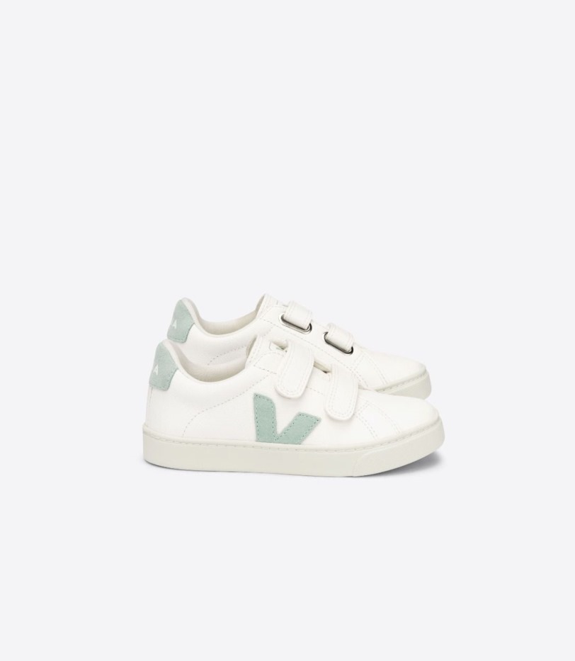 Premium Chromefree Leather White Matcha Veja
