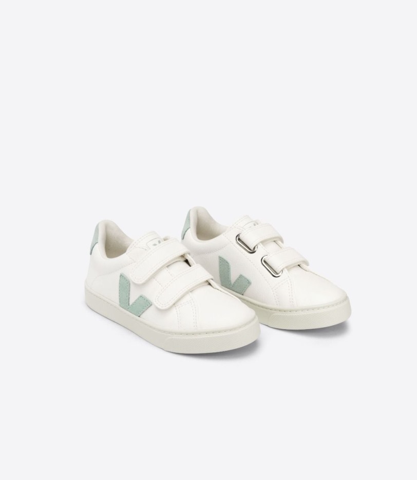 Premium Chromefree Leather White Matcha Veja