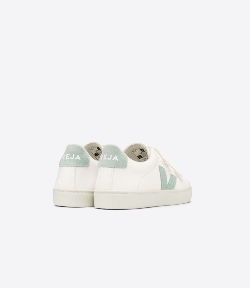 Premium Chromefree Leather White Matcha Veja