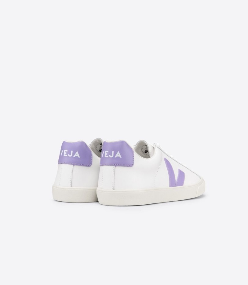 Veja Leather White Lavande Original