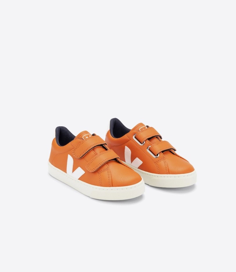 Perfect Veja Chromefree Leather Pumpkin White