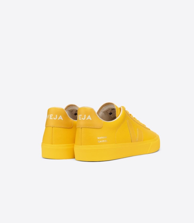 Special Veja X Mansur Gavriel Sunshine