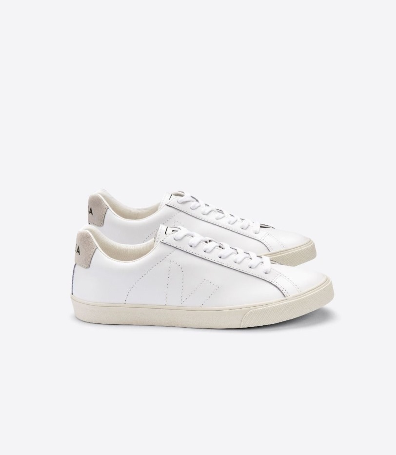 Veja Perfect Leather White