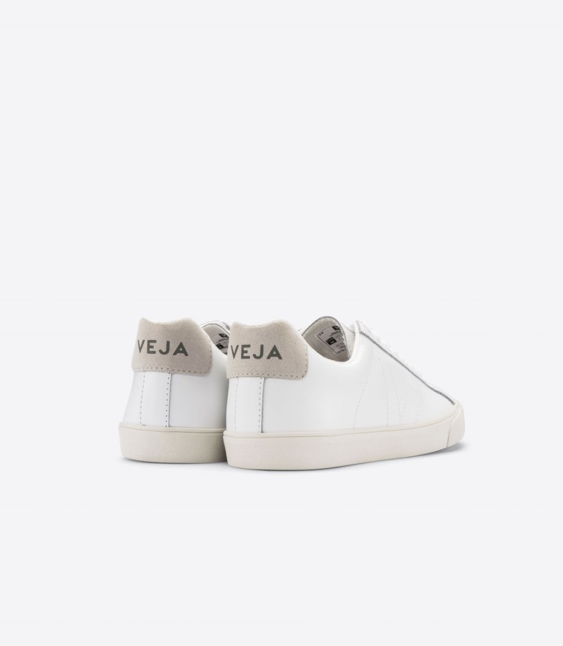 Veja Perfect Leather White