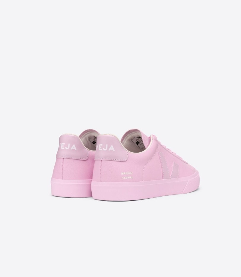 Veja X Mansur Gavriel Rosa Series